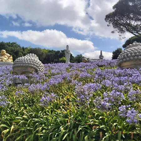 Fou De Foz * Foz do Arelho